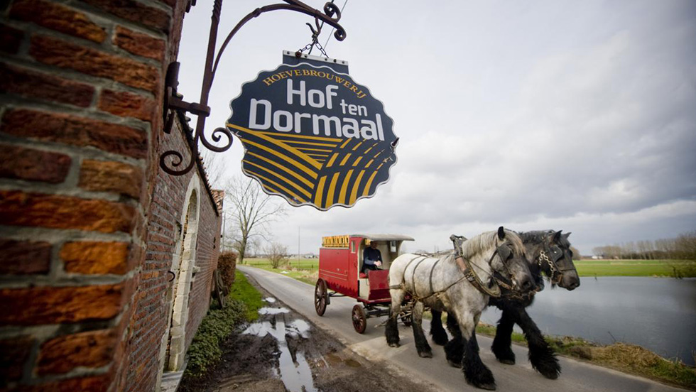 Hof ten dormaal33 2 brewery cut1