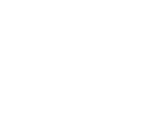 Icon state ny